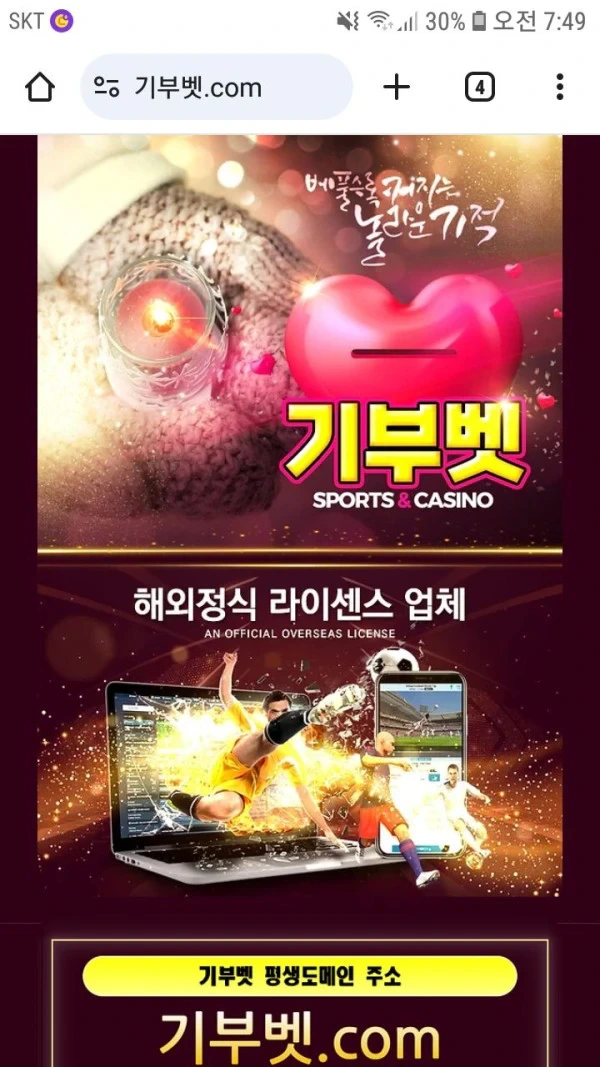 기부벳.webp