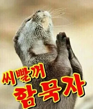 작업2.webp
