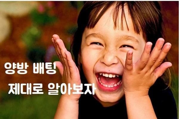 양빵수익.jpg