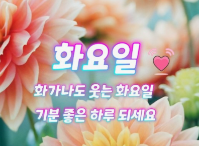 자게1.PNG