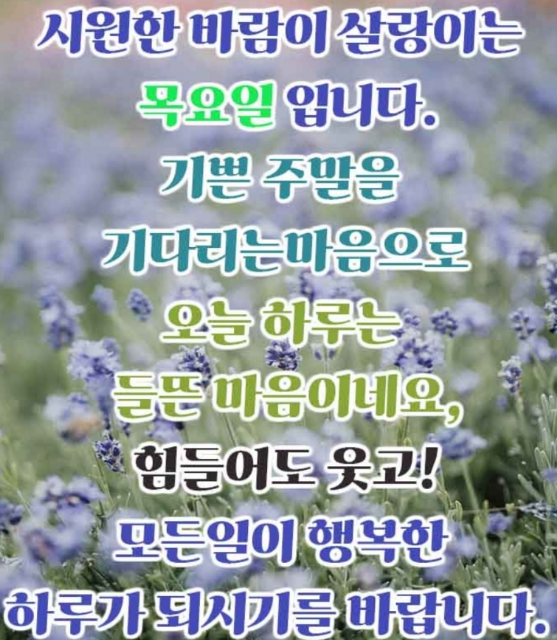 자게1.PNG