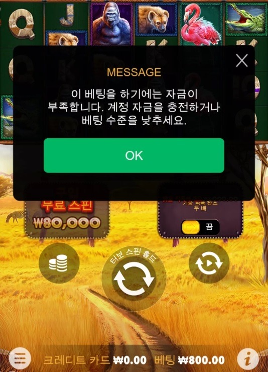 31후기.jpg
