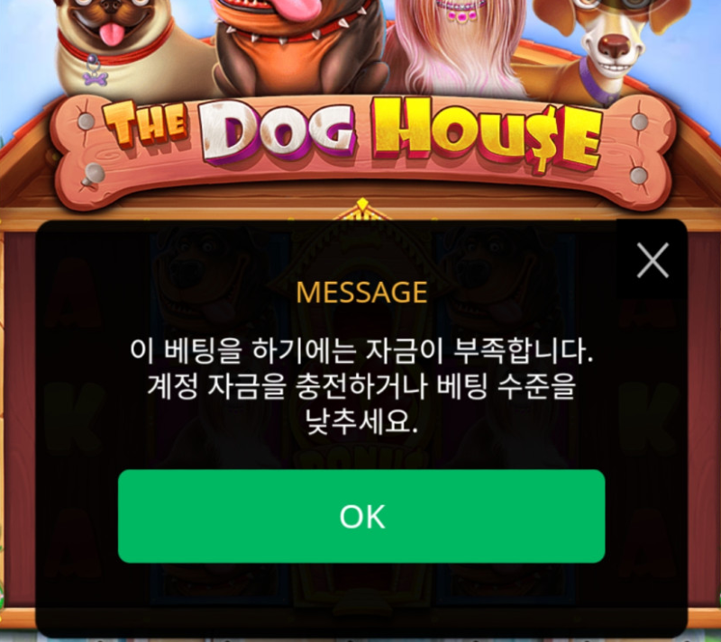 신비1.PNG