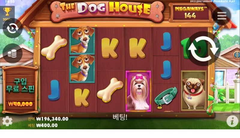8.5 개집.jpg