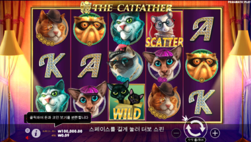 노아1.PNG