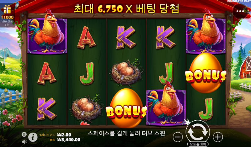 노아1.PNG