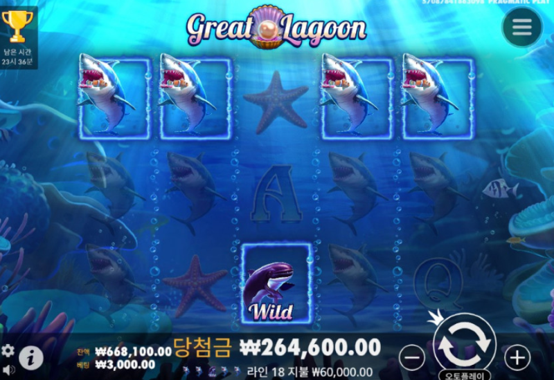 신비2.PNG