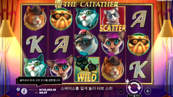 신비2.PNG