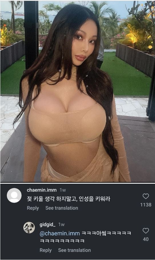 htrsjrt.JPG