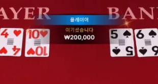노아2.PNG