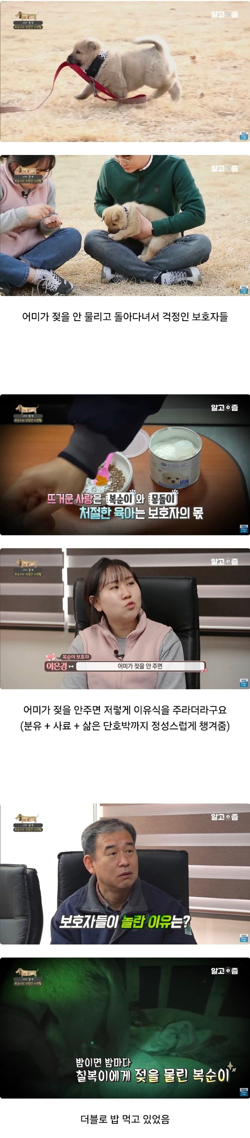 복순이.jpg