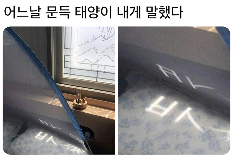 태영.jpg