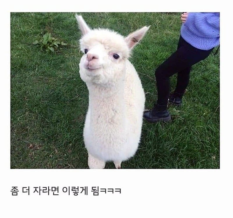3.jpeg