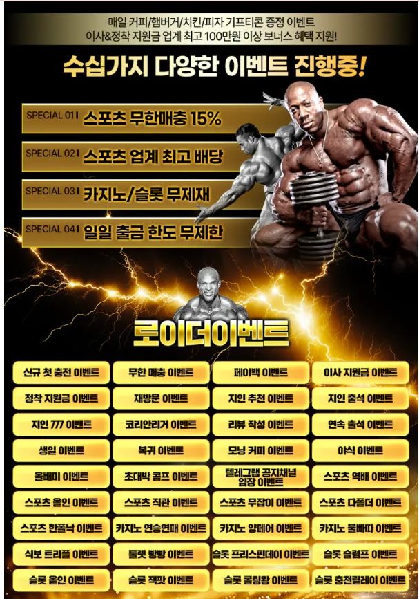 로이더1.JPG