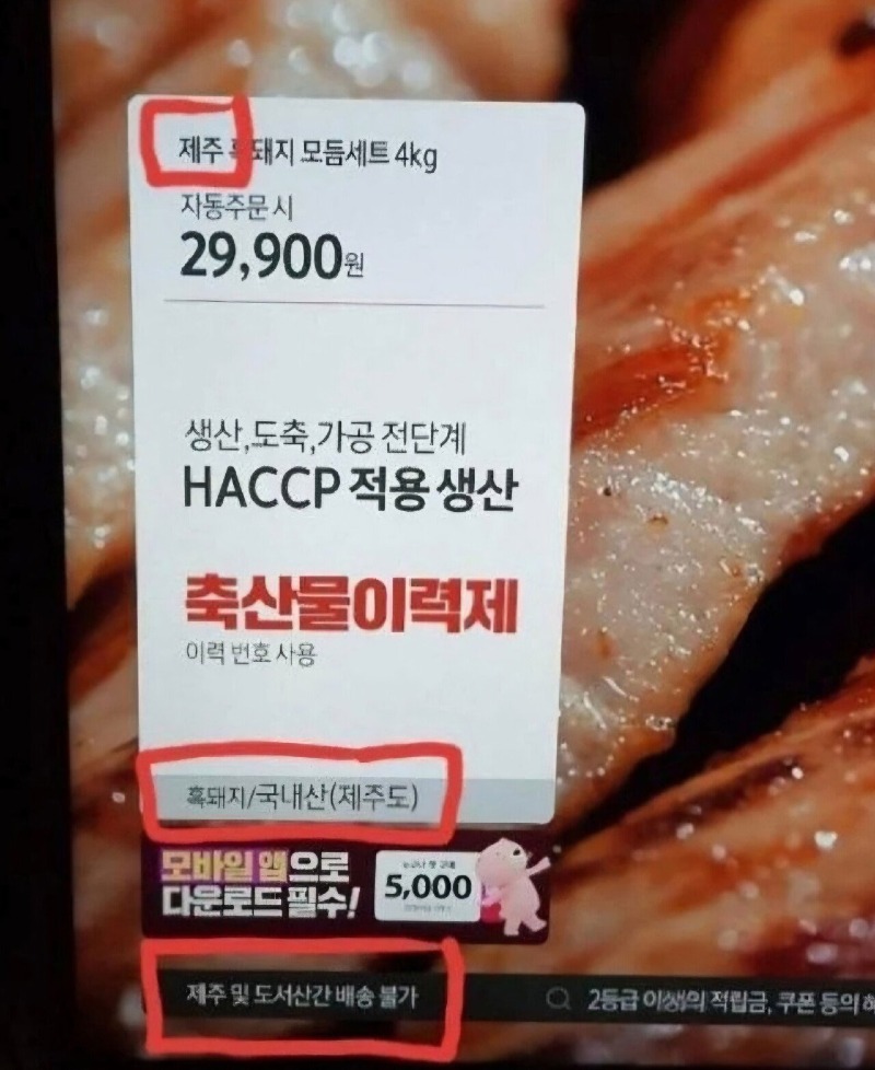 제주도주인은 못먹는 고기.jpeg