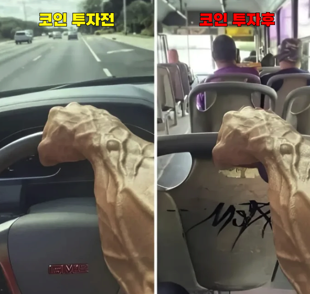 코아ㅣㄴ.png