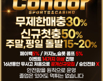 먹튀검증콘돌