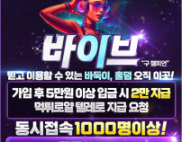 먹튀검증바이브